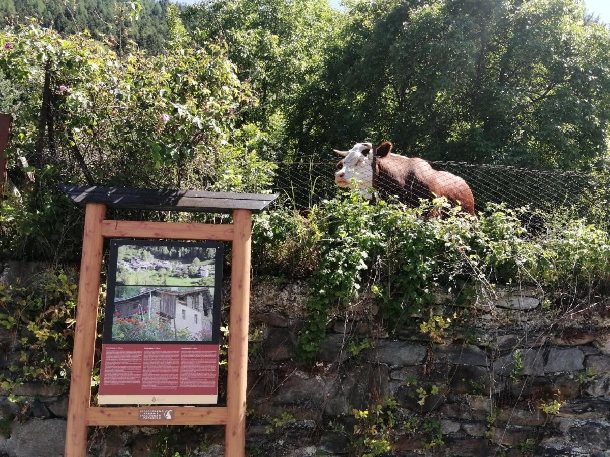 La Casetta Di Lele E Schina Arvier Dış mekan fotoğraf